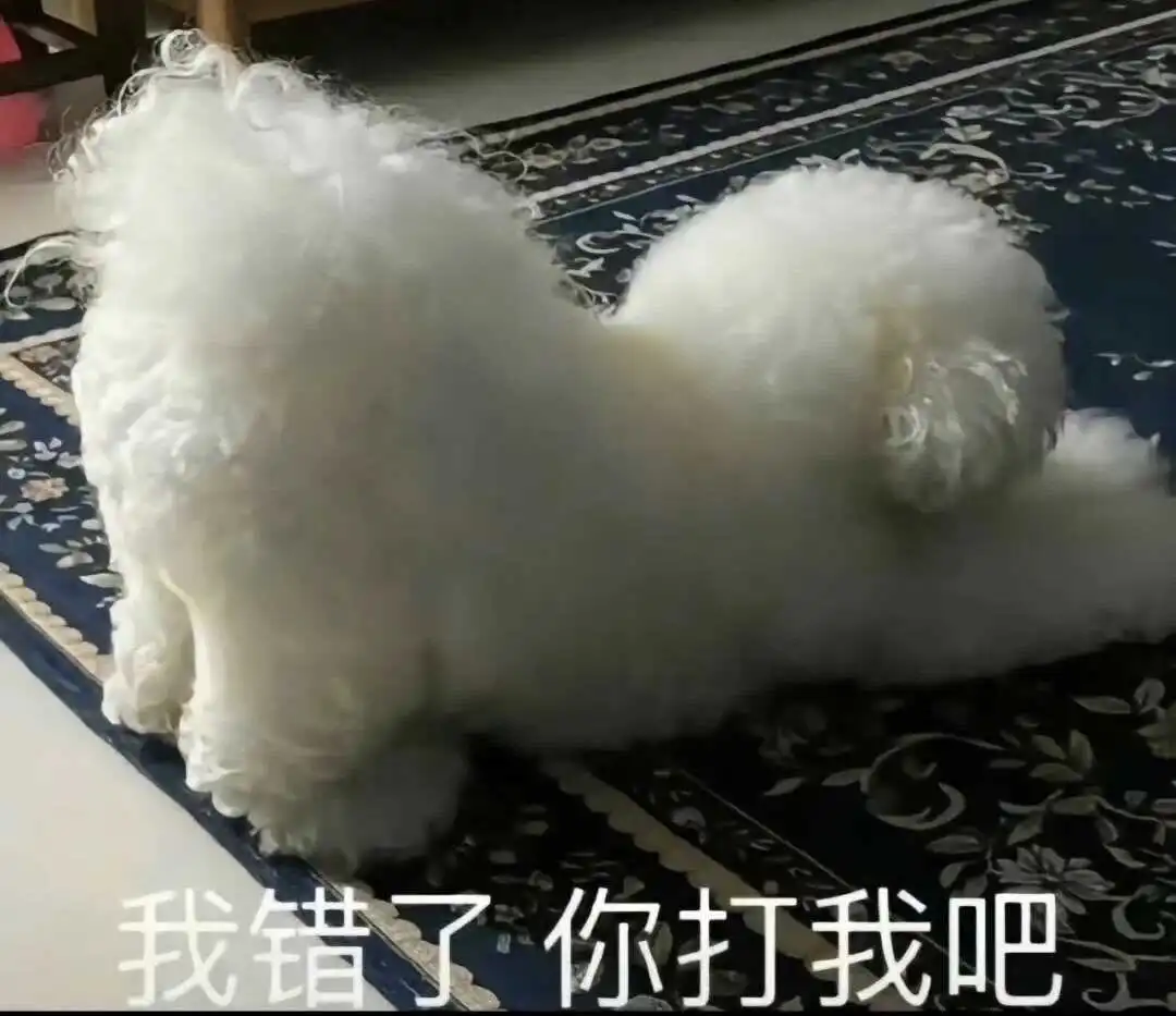 西檬之家m倾向揭秘：如何正确理解与实践字母圈中的臣服艺术 一