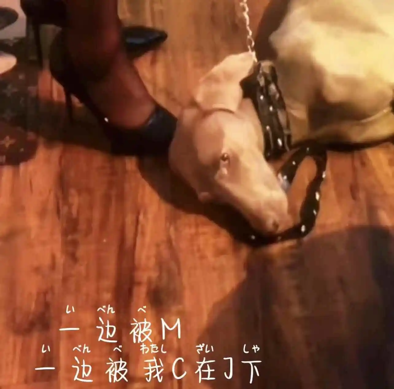 西檬之家BDSM安全词怎么设才靠谱? 一