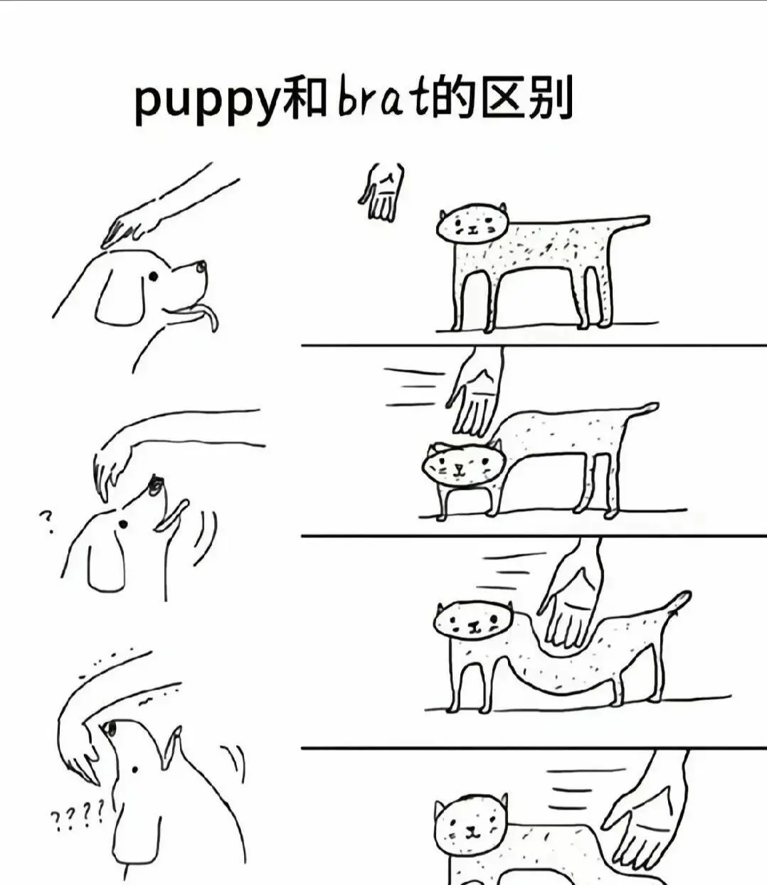 西檬之家管教新手入门指南 一