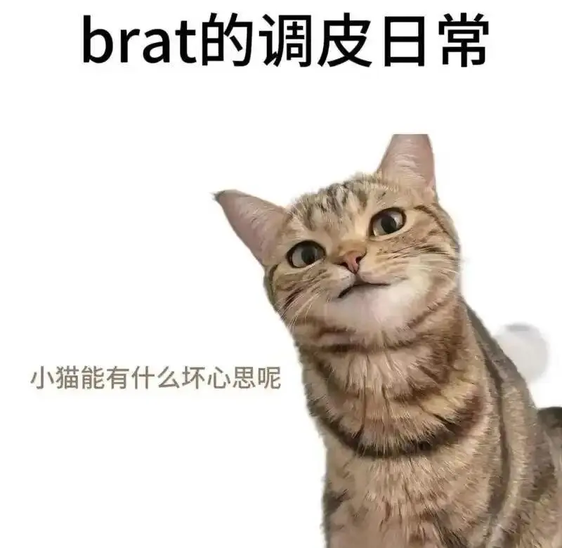 西檬之家字母圈入圈新手入门指南 一