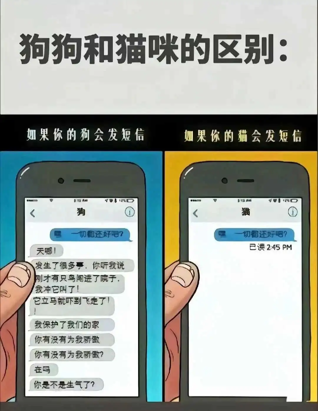 西檬之家字母圈安全词是什么? 一