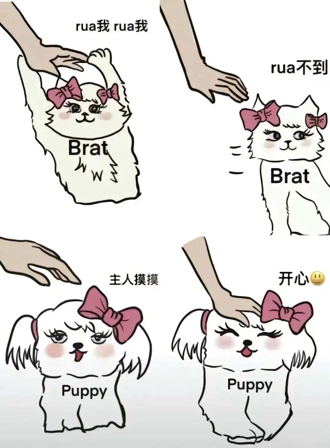 西檬之家brat属性是什么意思? 一