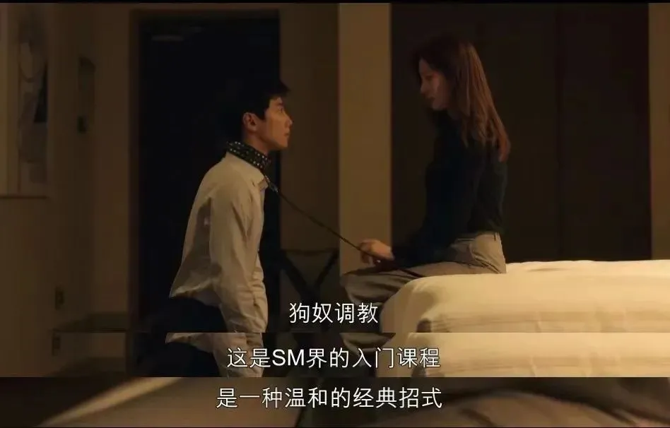 西檬之家BDSM入圈新手必看：从入门到安全的完整指南 一