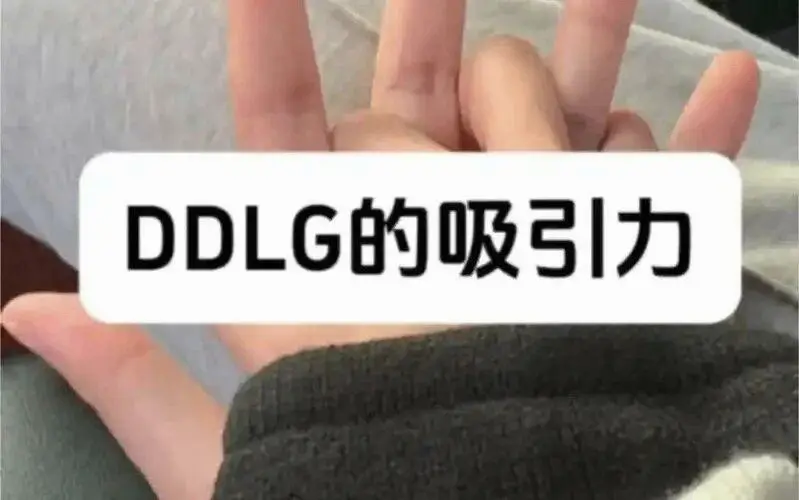 西檬之家字母圈brat属性详解 一