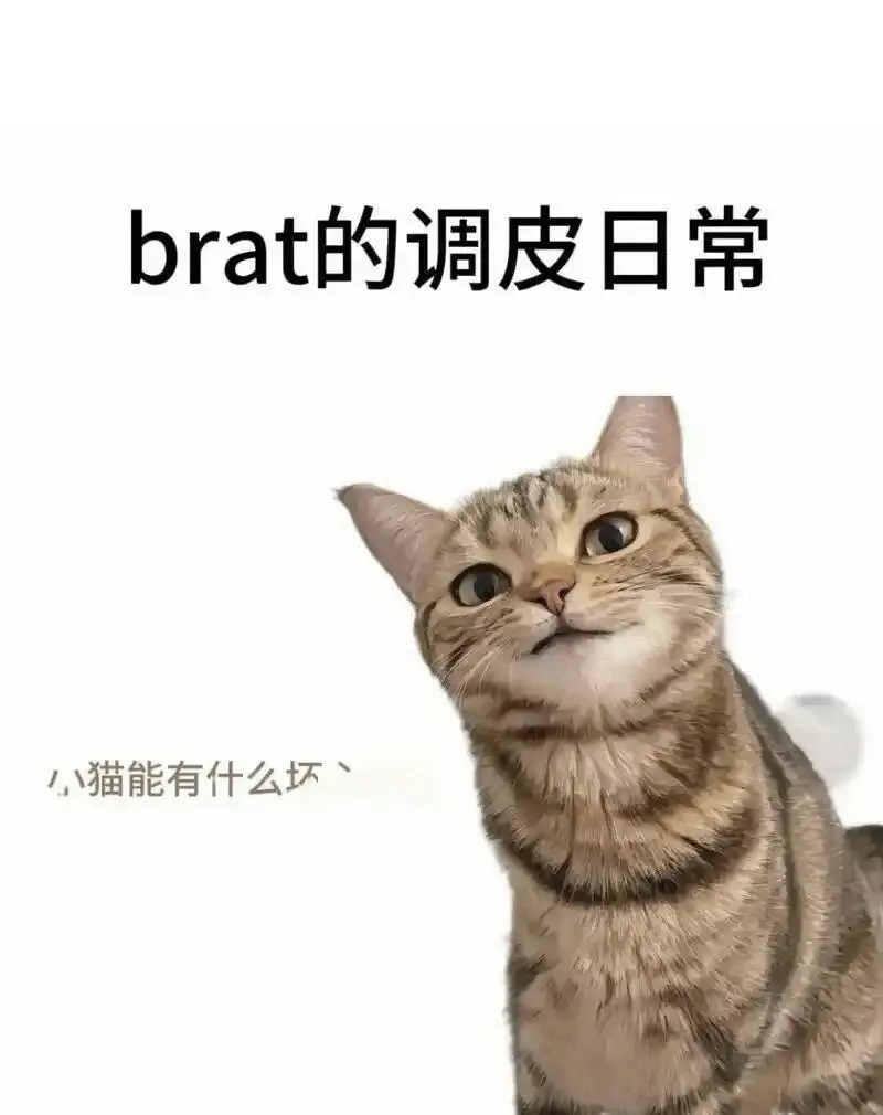 西檬之家k8猫系是什么意思？你的风格是什么？ 一