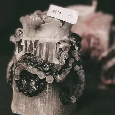西檬之家k9是什么?新手指南 一
