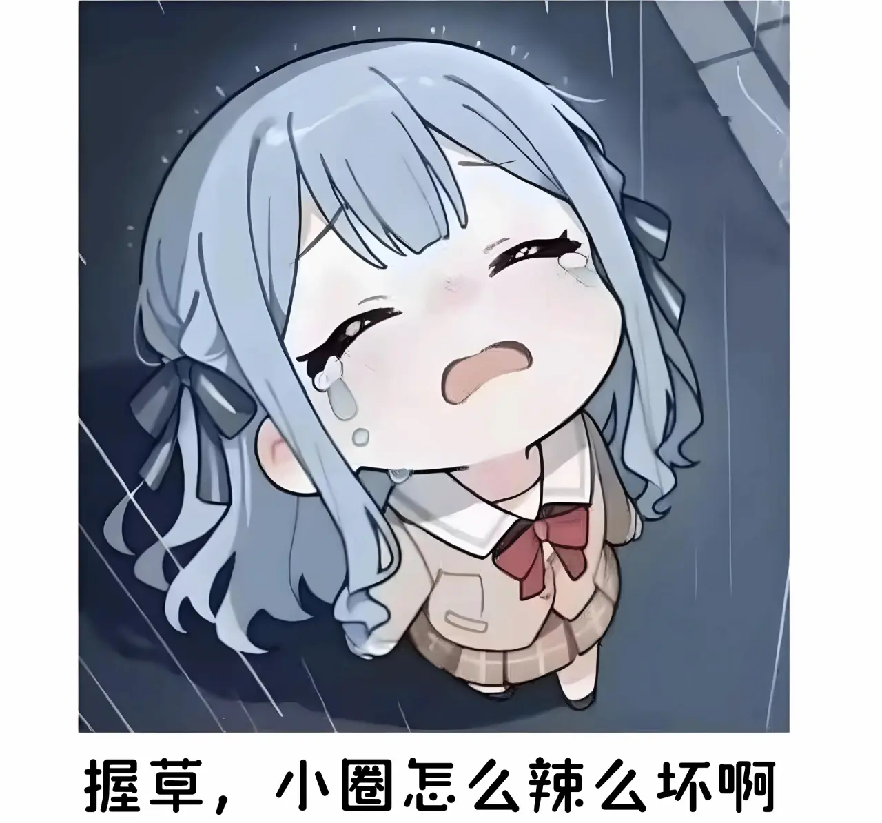 西檬之家字母圈k9是什么?新人科普 一